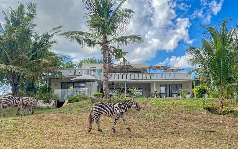 Luxury 3 bedroom Villa in Vipingo ridge — photo 2